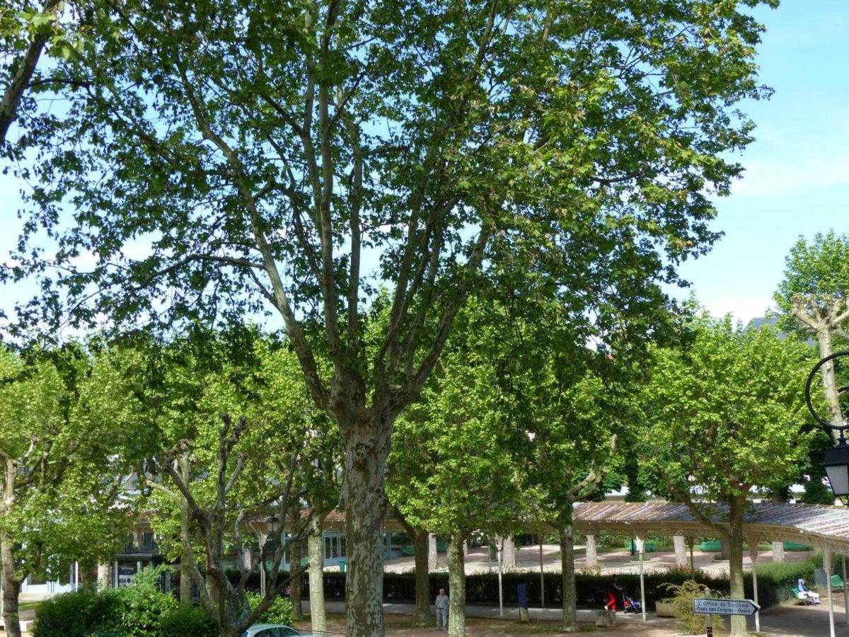 Appartement Elegant Et Confortable Au Coeur De Vichy, Pres De L'Opera Et Des Parcs Napoleon III - Fr-1-489-303 Exteriör bild